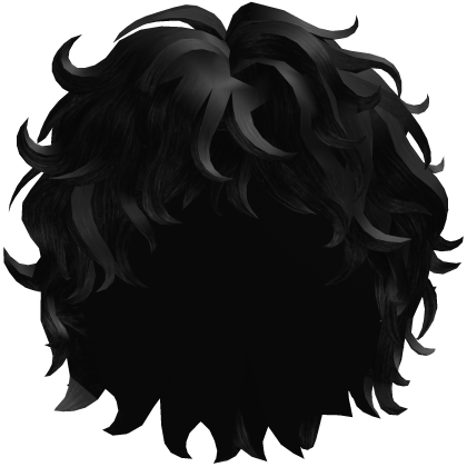 Black Messy Curly Hair