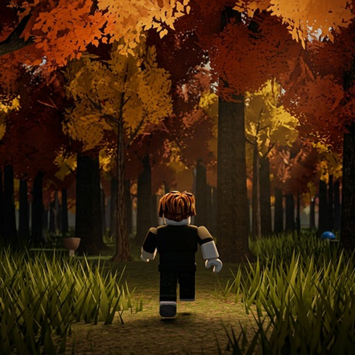 🍄 Looking for Mushrooms