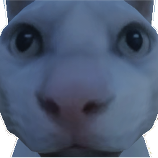 😼