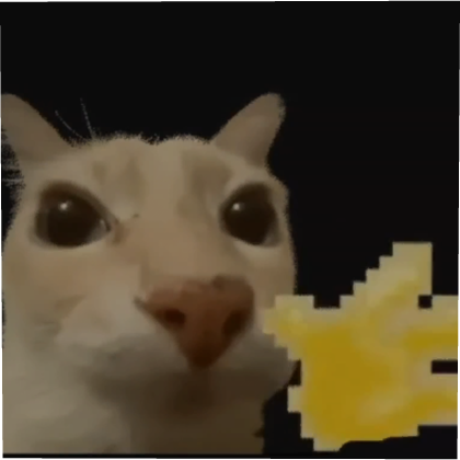 Animated Cat