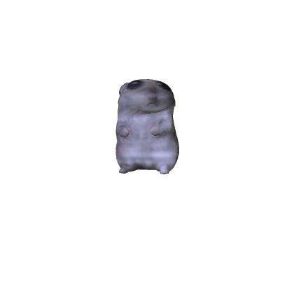 Mini hamster