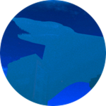 Aircraft Shark
