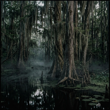 Dark Ambient Scary Horror Suspense
