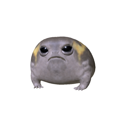 The Frog