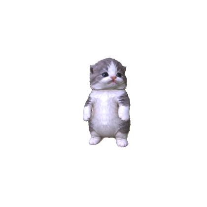 Mini Little Kitten