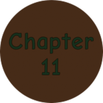 Chapter 11