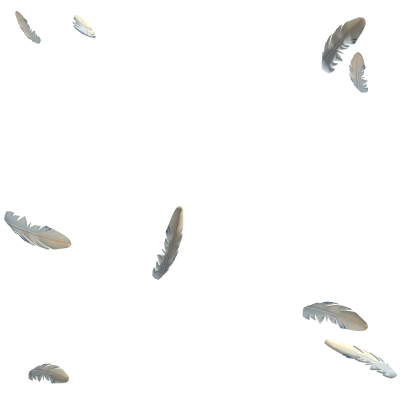 Celestial Angel Feathers Aura