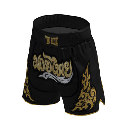 Muay Thai Shorts 