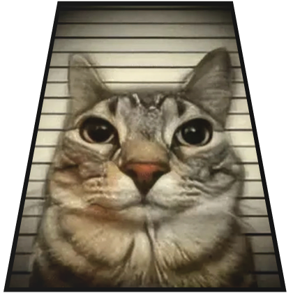Prisoner Cat Meme Cape