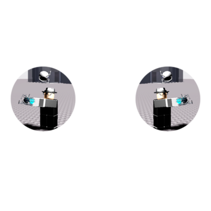 Image Mirrorer