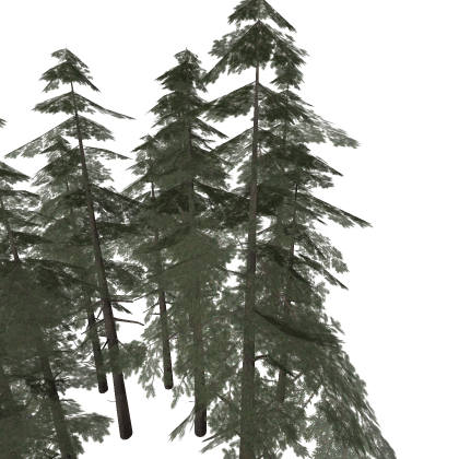 Realistic Trees