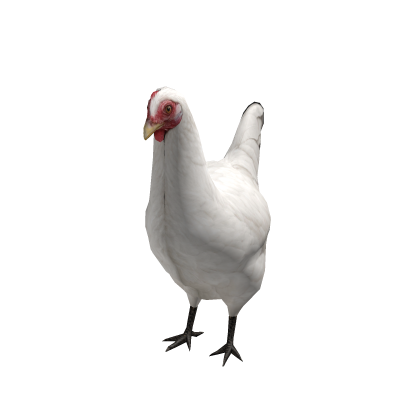 Chicken Suit