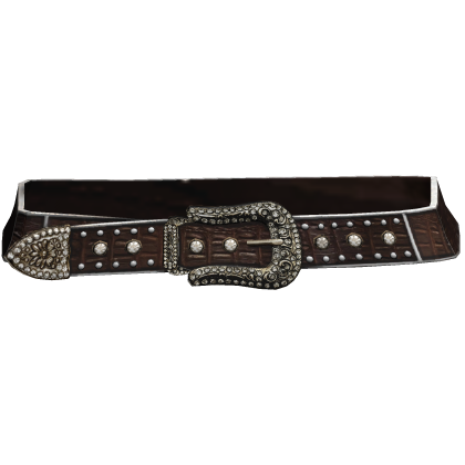 Brown Y2K Leather Belt Rhinestone Mcbling 2000s