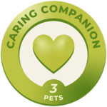 Caring Companion
