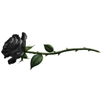 Black Rose