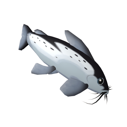 Edible Fish: A catfish