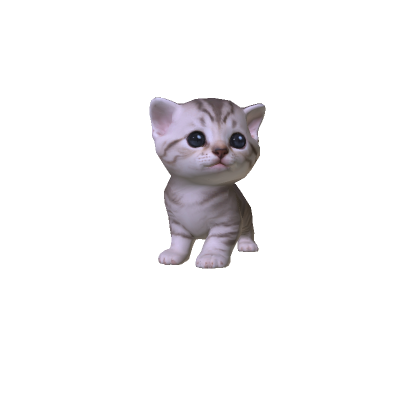 Mini Kitten