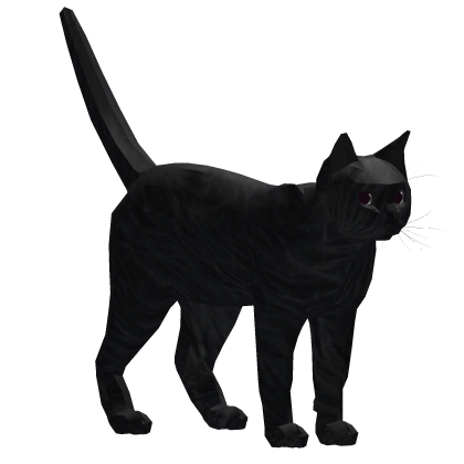 ✅ Cat