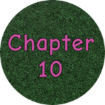 Chapter 10