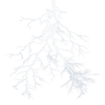 The White Storm