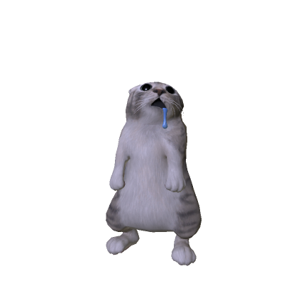 drooling cat