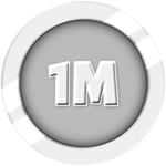 Net Worth - 1M