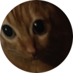 Кот.