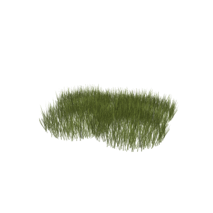 Light Grass