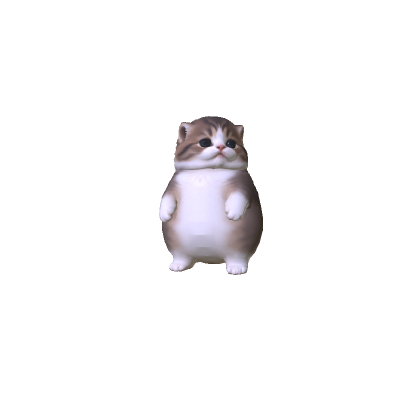 Little Chubby Kitten