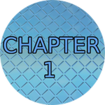 Chapter 1