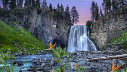 Waterfall Landscape
