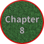 Chapter 8