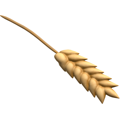 Wheat