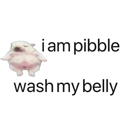 i am pibble belly text