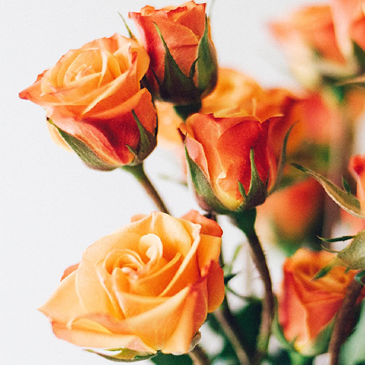 Цветочный Центр Киров Тестовый товар 10