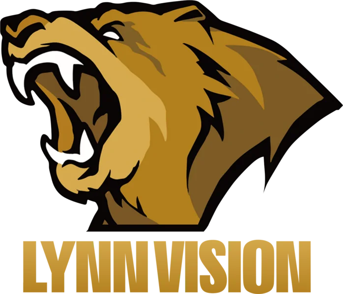 Lynn Vision