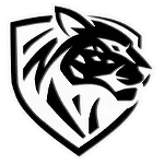 Ilbirs eSports