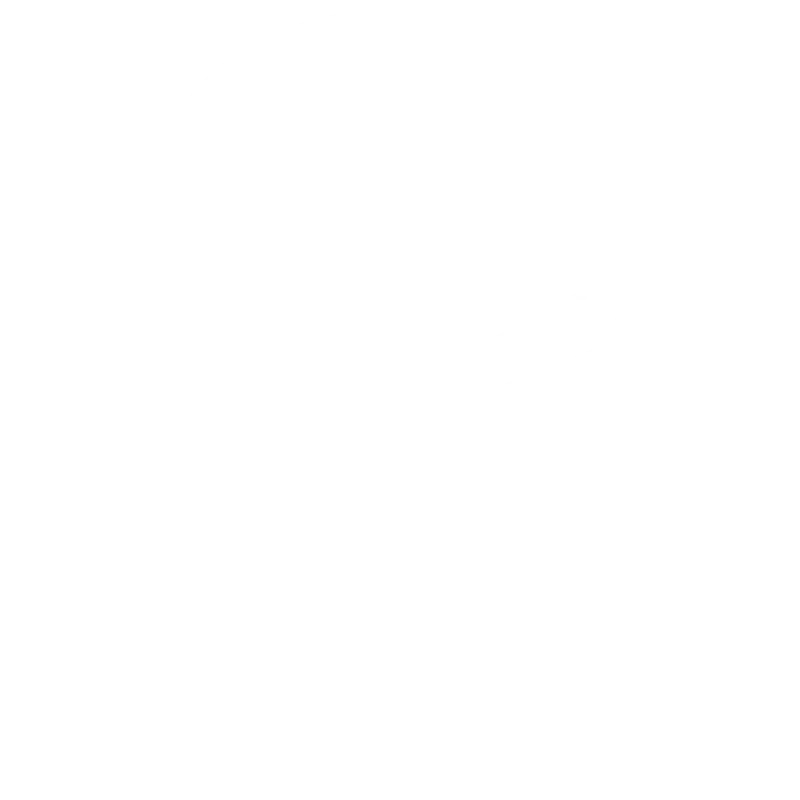 BRUTE
