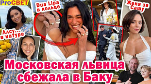 Московская львица сбежала в Баку. PROcвет