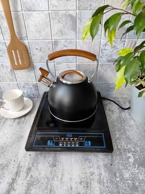 Электроплита индукционная 2 кВт HS-1101 HomeStar