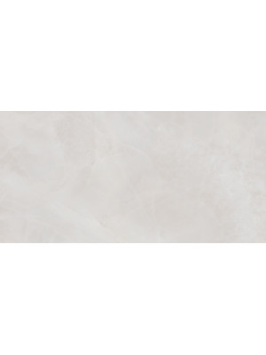 Плитка облицовочная Риволи 249*500 TWU09RVL007