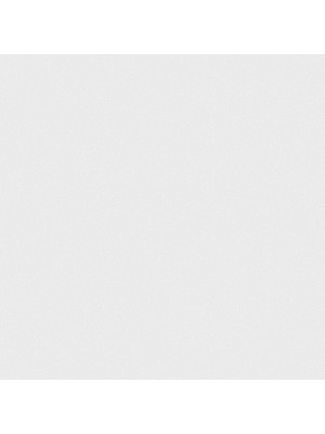 Обои флизелиновые горячего тиснения Шелк 8779-14 1,06*10 Обои флизелиновые горячего тиснения Шелк 8779-14 1,06*10