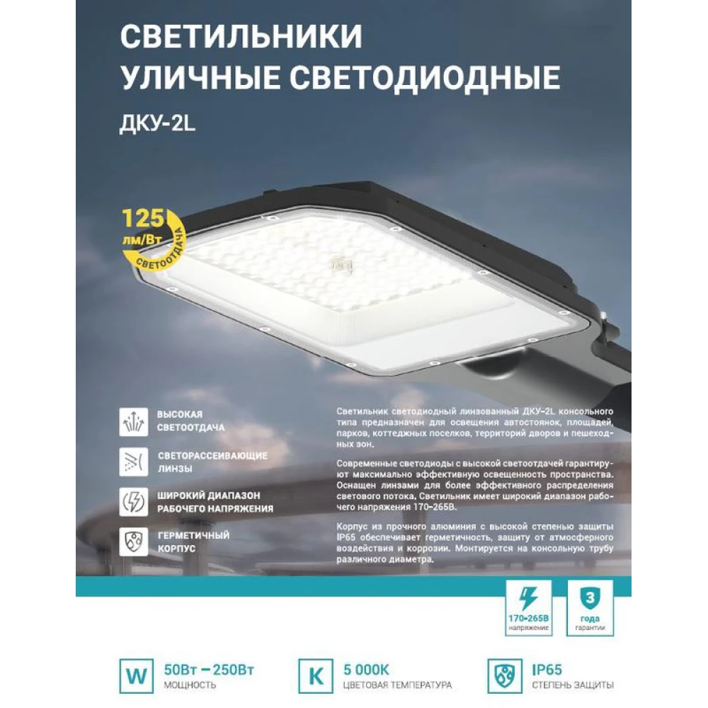 Светильник уличный линзованный светодиодный ДКУ-2L 120Вт 230В 5000К 15000лм 125лм/Вт 48-70мм IP65 NEOX 4690612057095