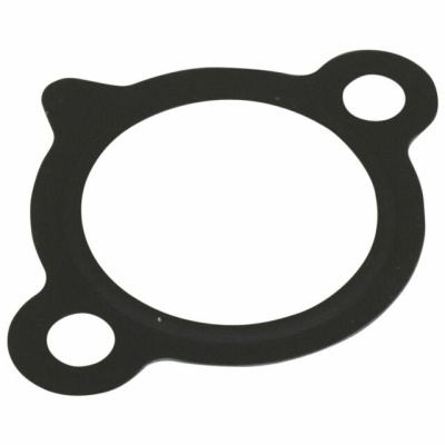Прокладка натяжителя цепи TY