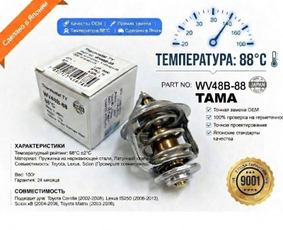 Термостат TY