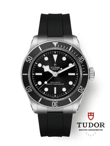 Black Bay Master Chronometer Stainless Steel - Black / Black / Rubber