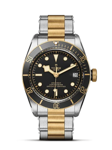 Heritage Black Bay Black S&G / Stainless Steel / Yellow Gold / Black / Bracelet