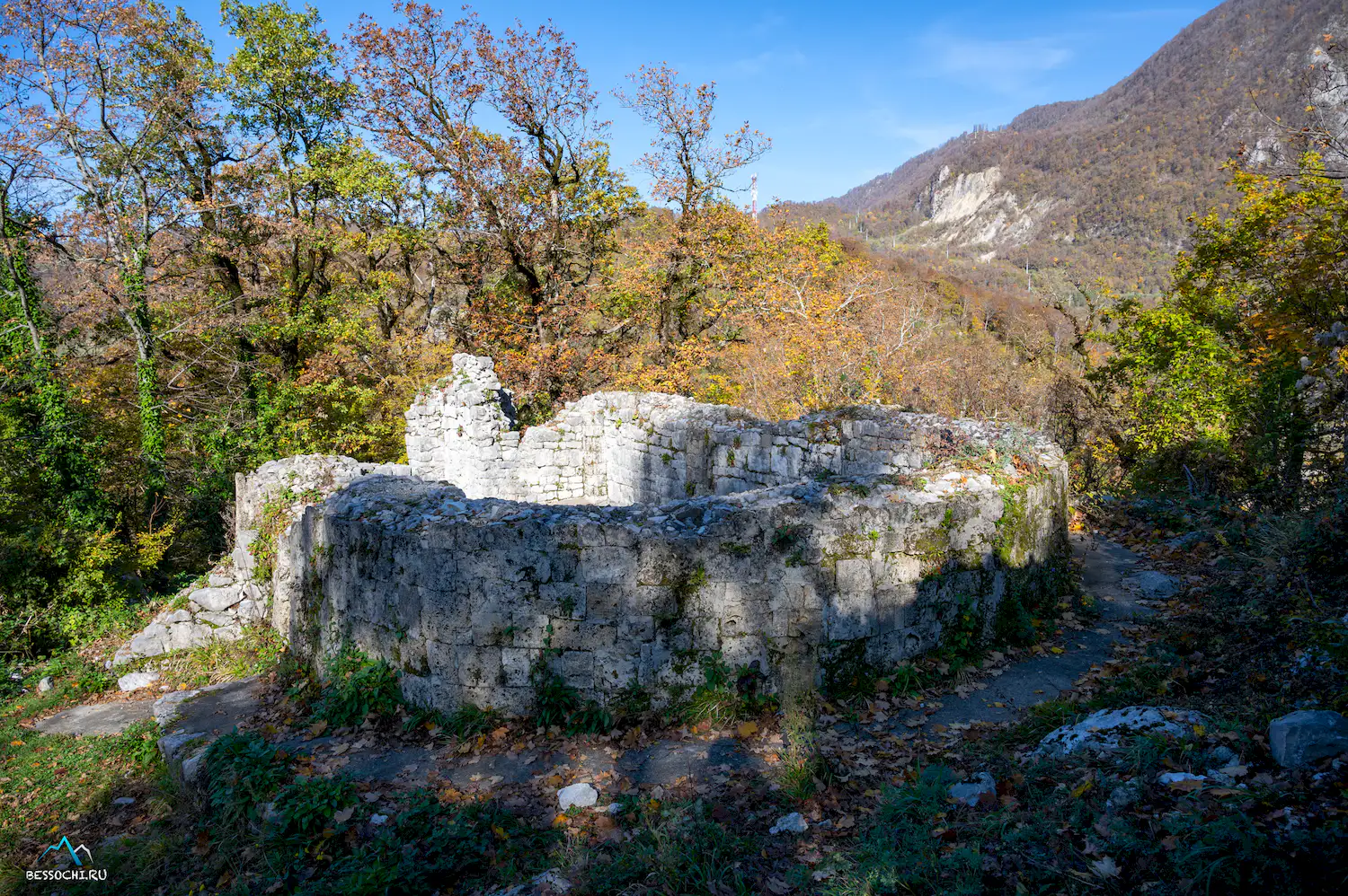 Пасть Дракона