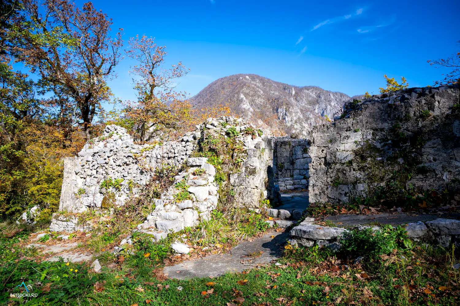 Пасть Дракона