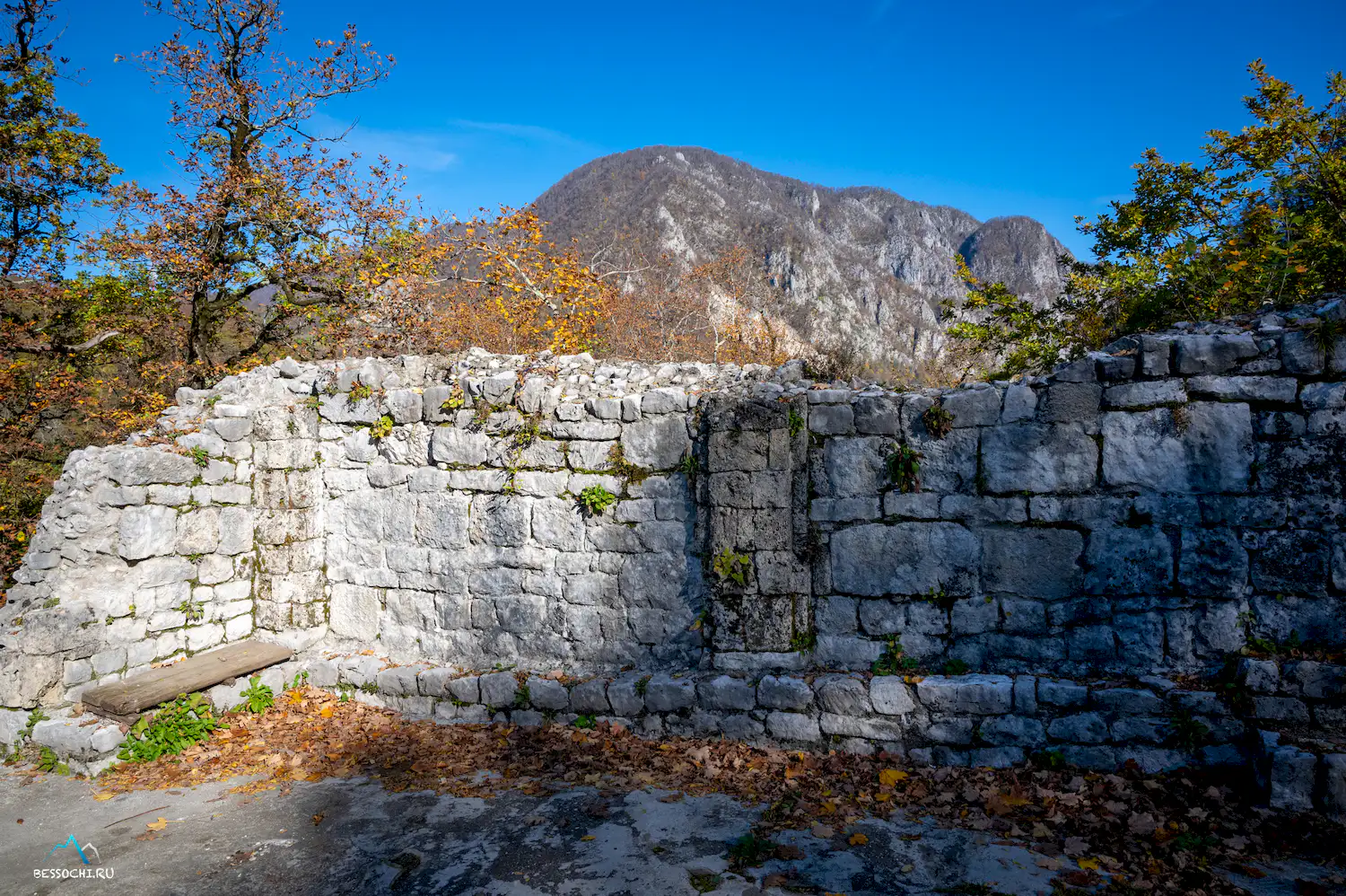 Пасть Дракона